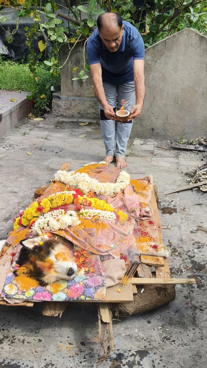 Pet funeral pooja service in Bengaluru